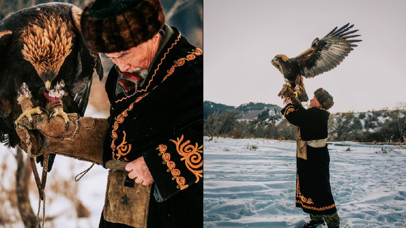 Kazachski trener orłów | Wyprawa Nikon 2019 (test Nikon Z50 oraz D810)