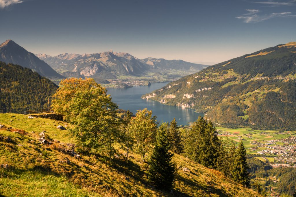 Schynige Platte, Top of Swiss Tradition, atrakcje Interlaken