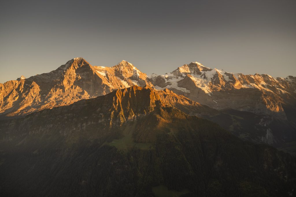 Schynige Platte, Top of Swiss Tradition, atrakcje Interlaken